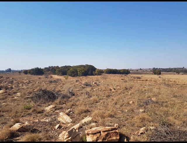 140,000M² SMALLHOLDING FOR SALE IN DONKERHOEK AH